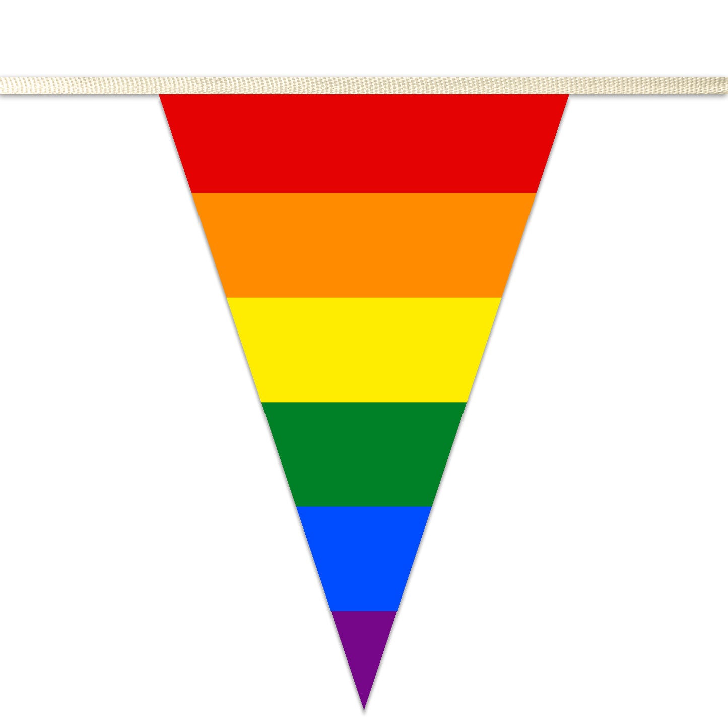 200x300mm Triangular Pride Bunting
